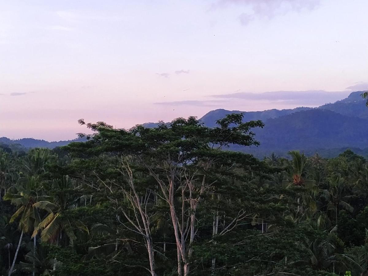 فندق Palmterrace Chulik المظهر الخارجي الصورة