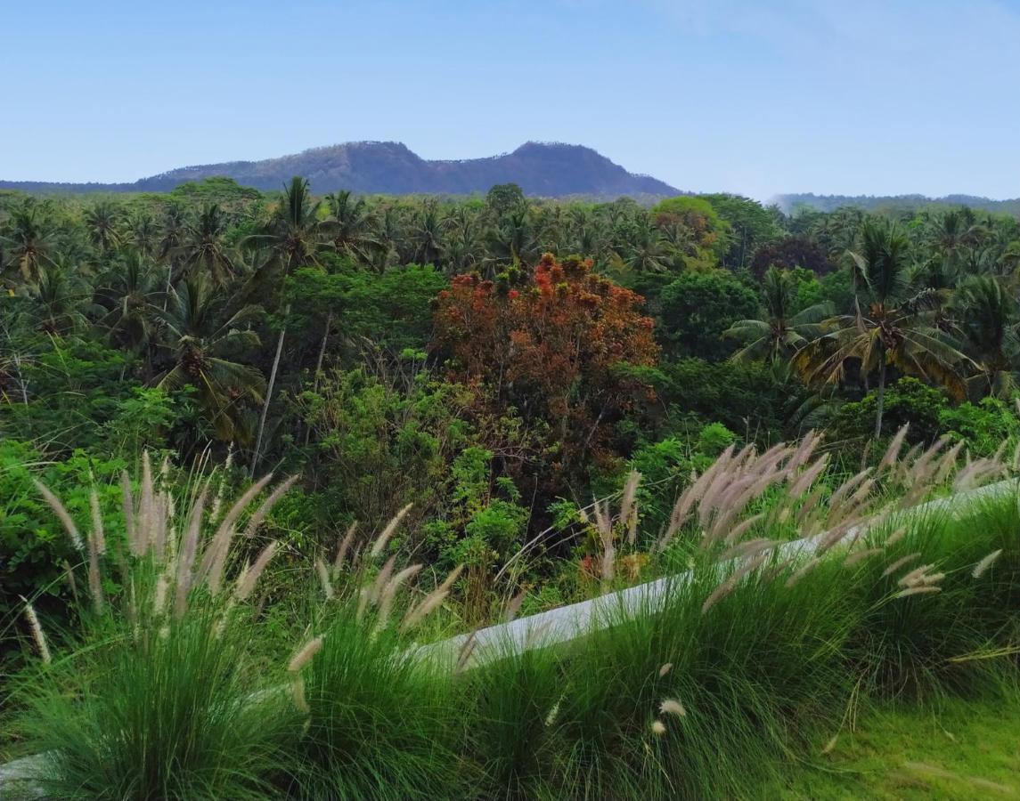 فندق Palmterrace Chulik المظهر الخارجي الصورة